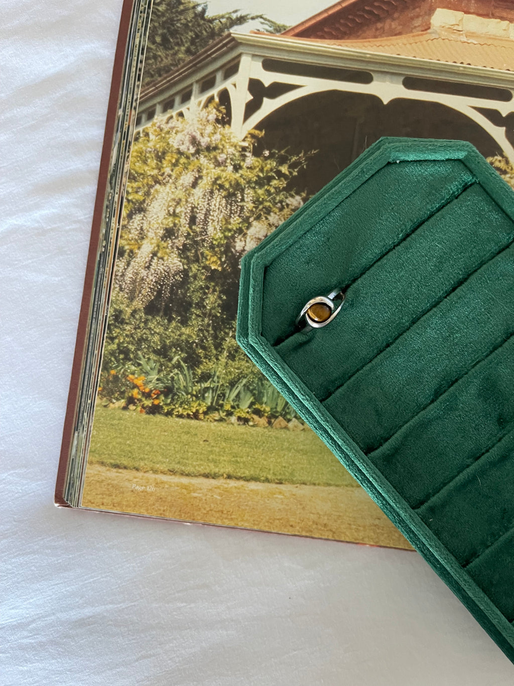 Tigers eye